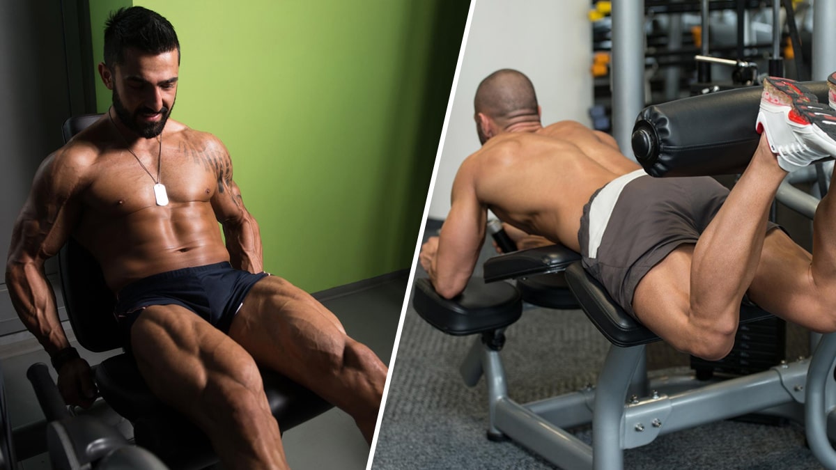 Leg Extension vs. Leg Curl: A Definite Guide from Experts – Fitness Volt
