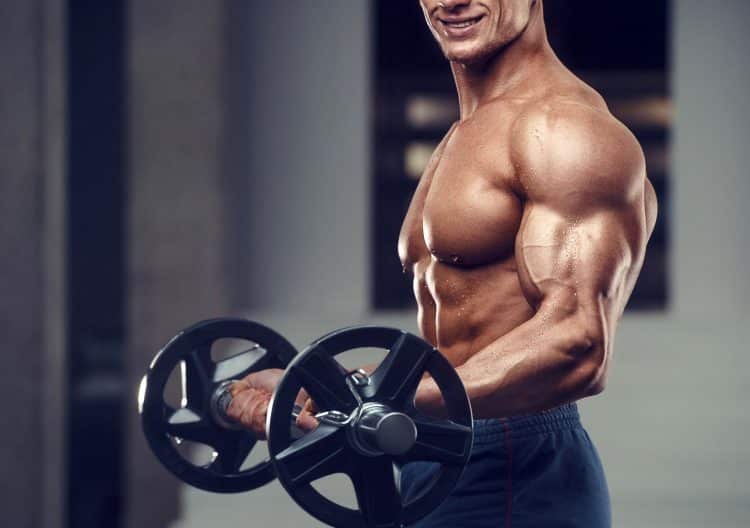 Man Training Pumping Up Biceps Muscles