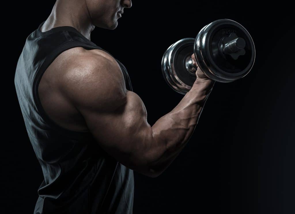 Cheat Curls For Bigger Biceps The Ultimate Guide Fitness Volt