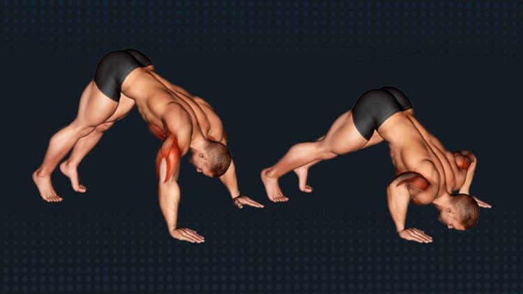Pike Push Up Guide