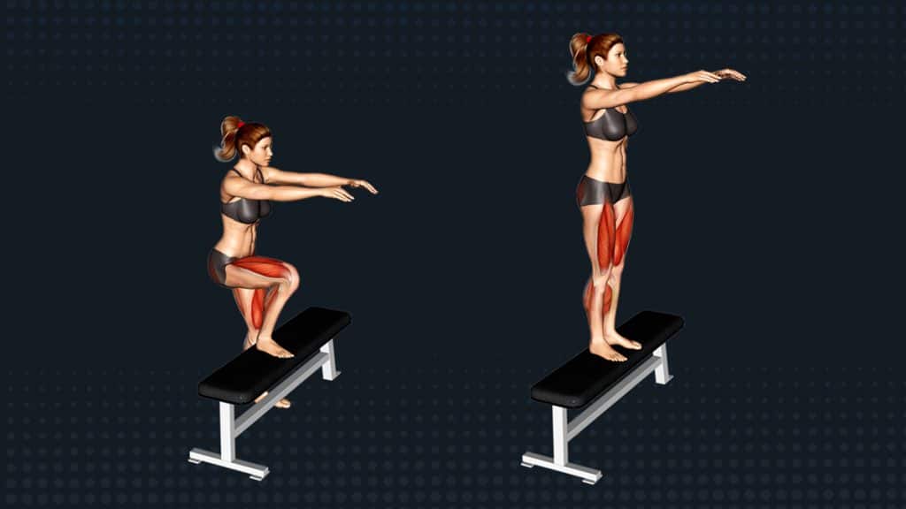 Single Leg Step Ups