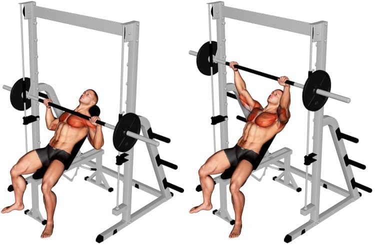 Smith Machine Incline Bench Press Muscles