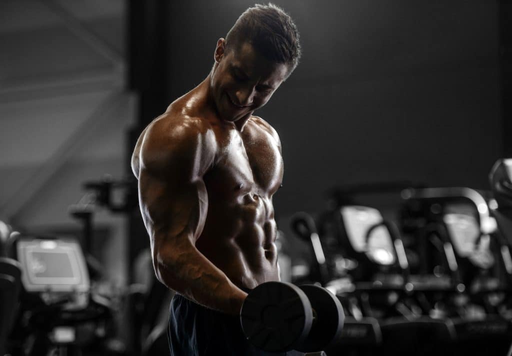 6-Day Workout Split for Building Muscle Mass [An Ultimate Guide ...