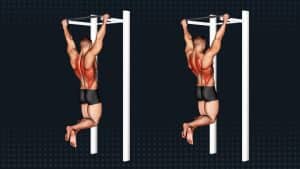 Scapular Pull Ups