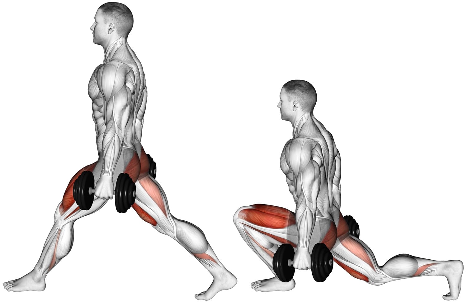 Split Squat Example Master the ATG Split Squat for Stronger Legs and Glutes – Fitness Volt