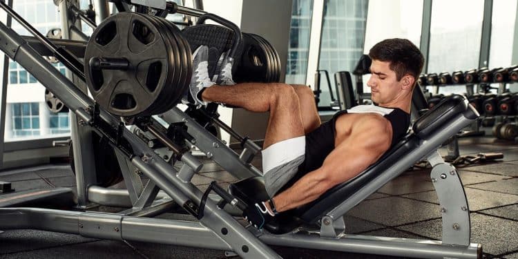 Arnold Split vs. PPL