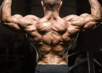 Best Middle Back Exercises
