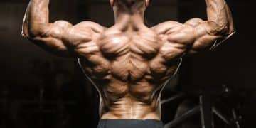Best Middle Back Exercises