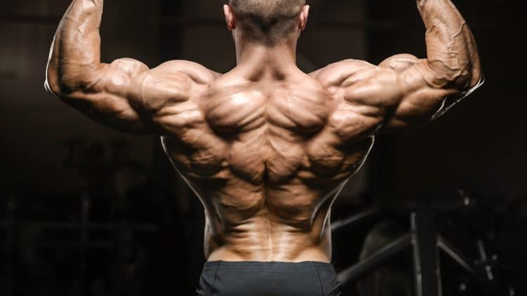 Best Middle Back Exercises