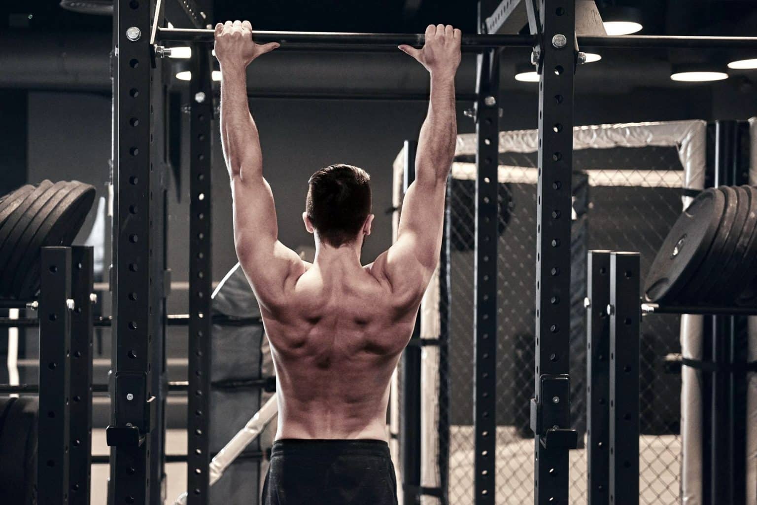 11 PushUp/PullUp Workouts for Upper Body Muscle Gains Fitness Volt