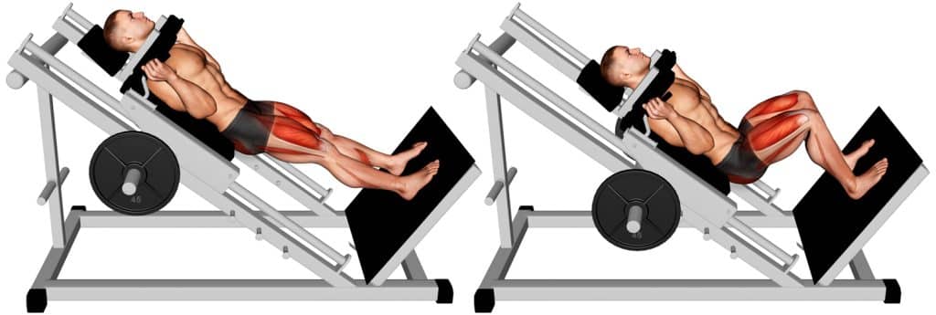 Unlock Lower Body Strength with Sled Hack Squats Today! – Fitness Volt