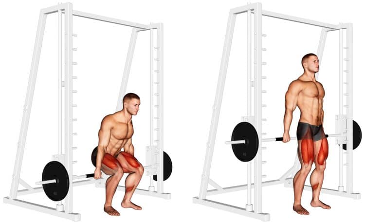 Smith Machine Hack Squat Muscles Worked