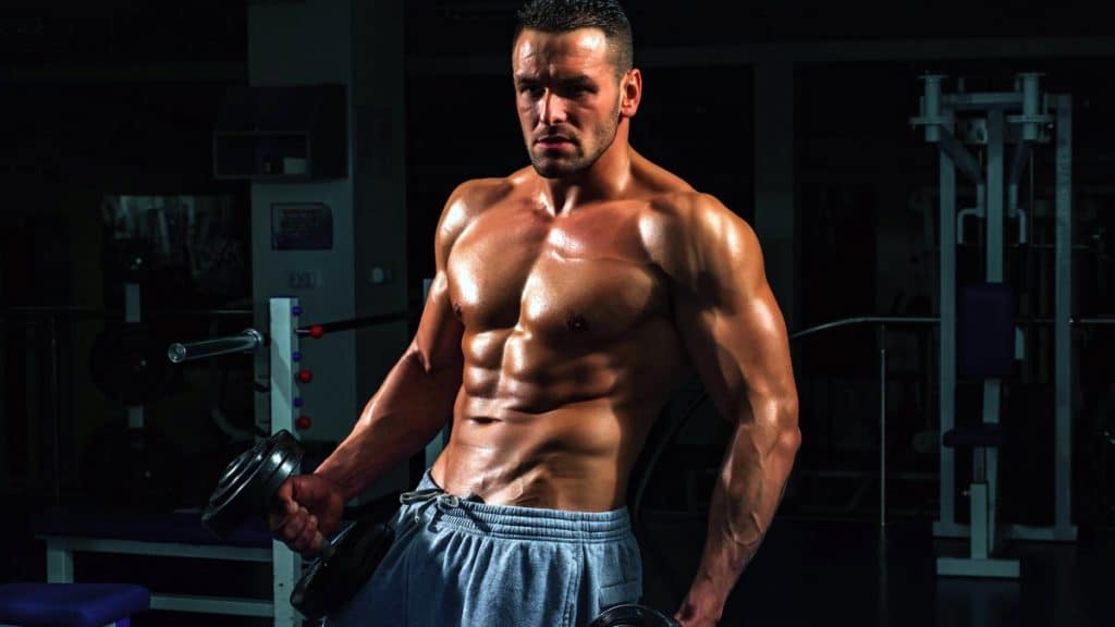 Two Day Workout Split