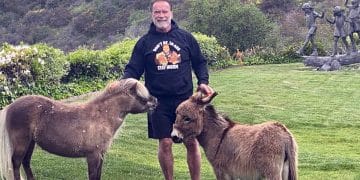 Arnold Schwarzenegger Boost Your Lifespan