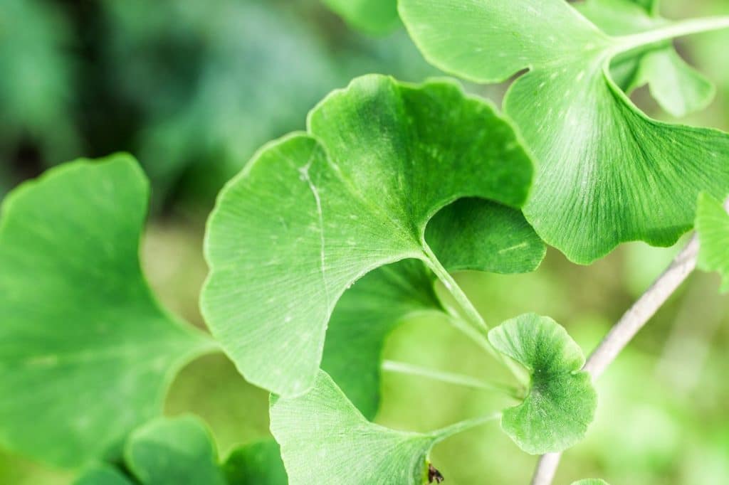 10 Best Natural Aids for Better Sleep Fitness Volt