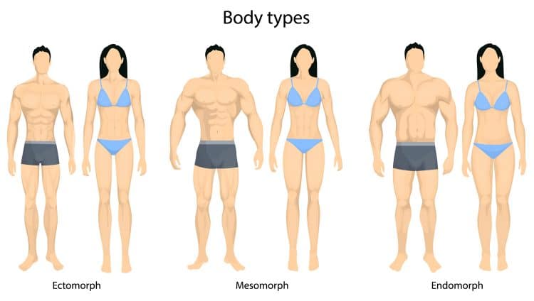 Body Types Men And Women
