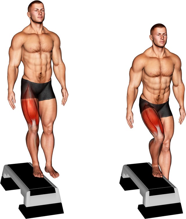 Lateral Step Up Muscles Worked