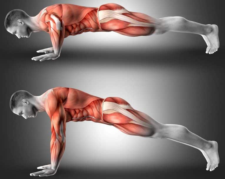 The PushUp Test How Do You Stack Up Against the Average [Man/Woman