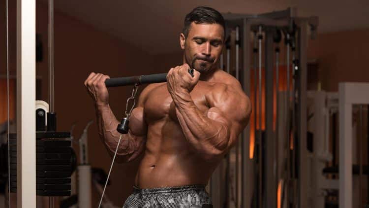 Best Cable Exercises