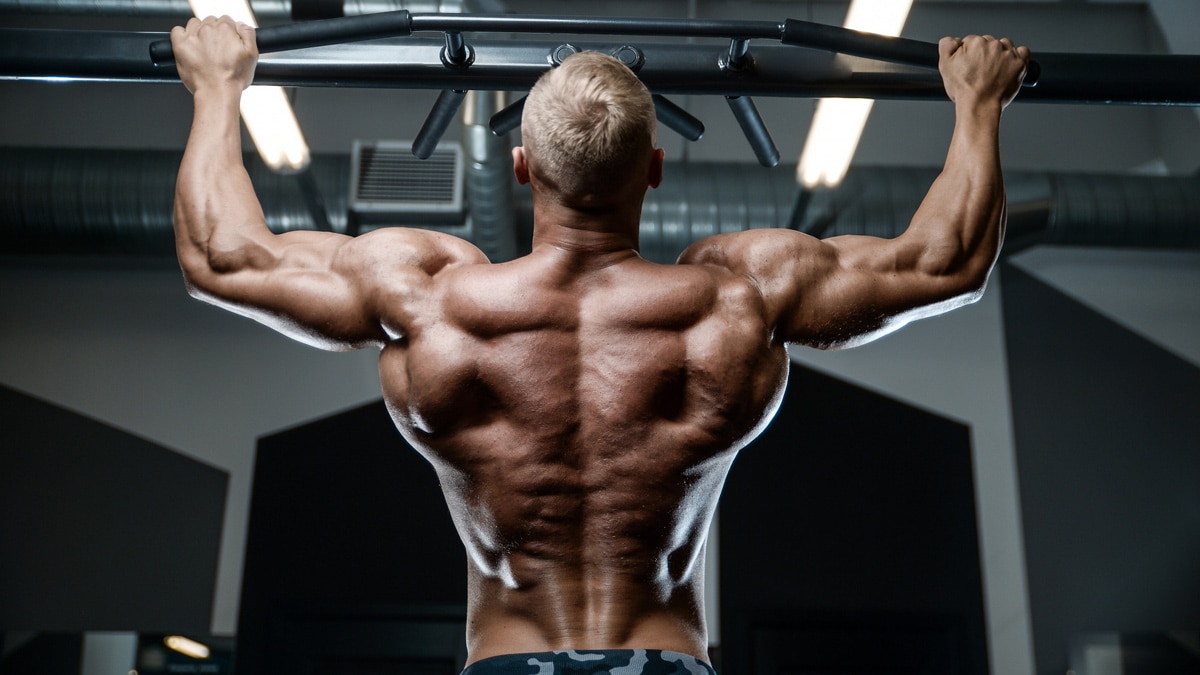 15 Best Compound Back Exercises Workouts Fitness Volt