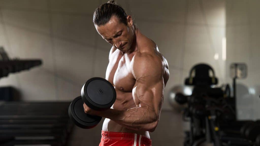 Exercises Per Muscle