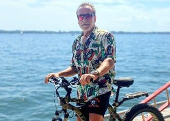 Arnold Schwarzenegger Accident Cyclist
