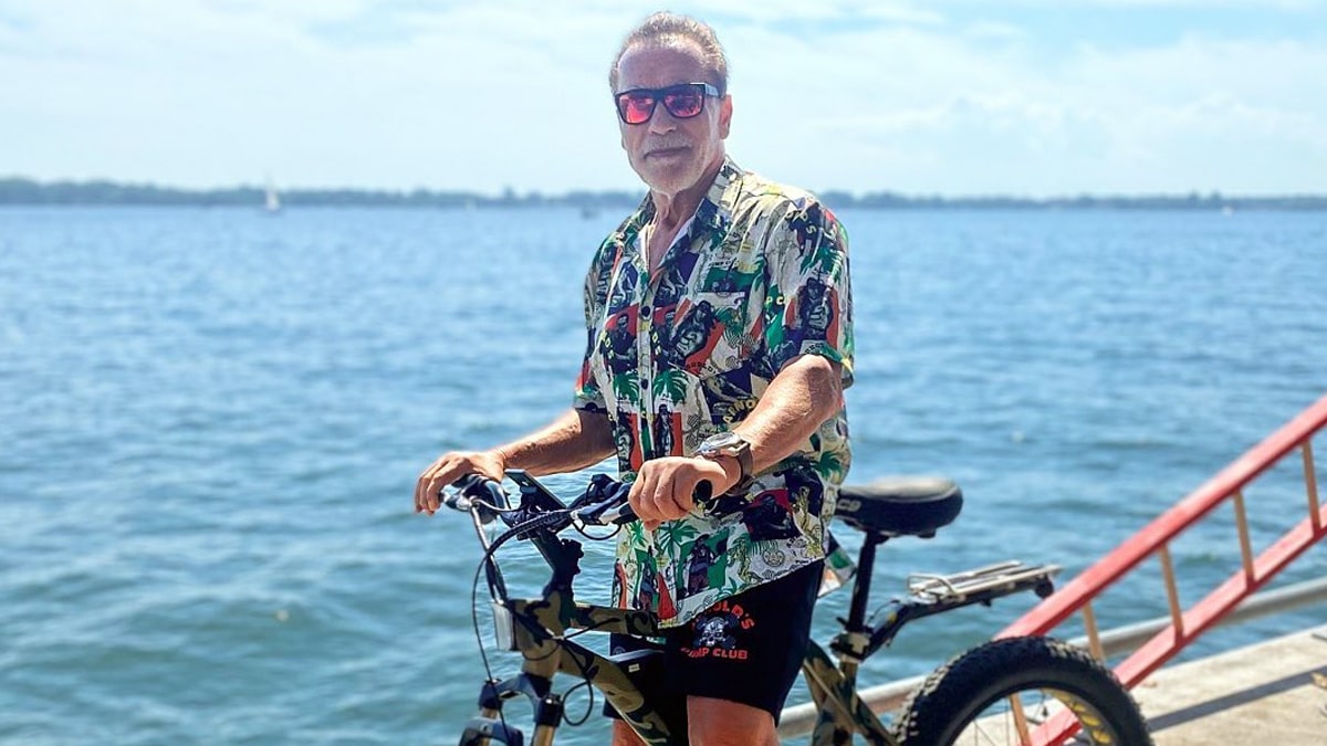 Arnold Schwarzenegger Accident Cyclist