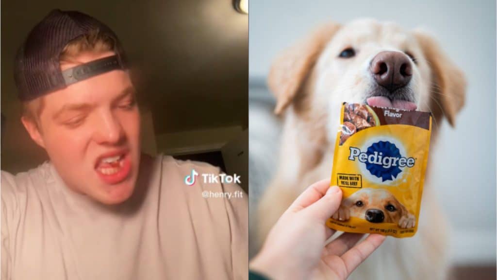 Gym bros try dog food