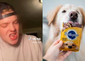 Gym bros try dog food