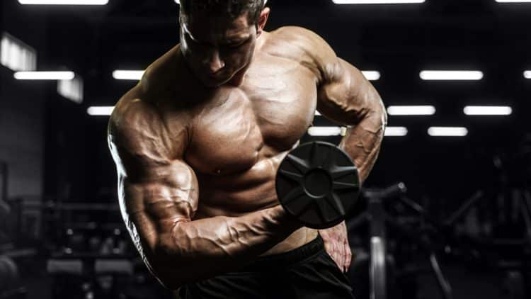 Muscle Memory For Bodybuilding