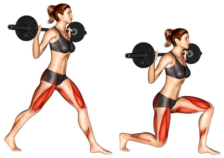 Muscles Worked Barbell Split Squat