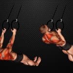 Suspended Row Exercise Guide