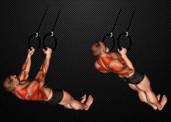 Suspended Row Exercise Guide