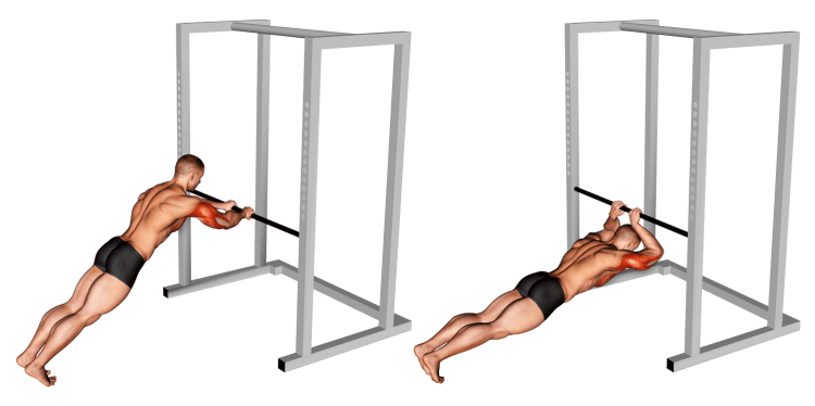 Triceps Press Upper Arms