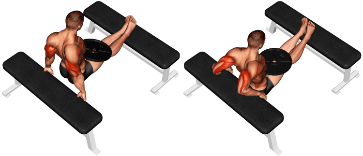 Weighted Bench Dip Upper Arms