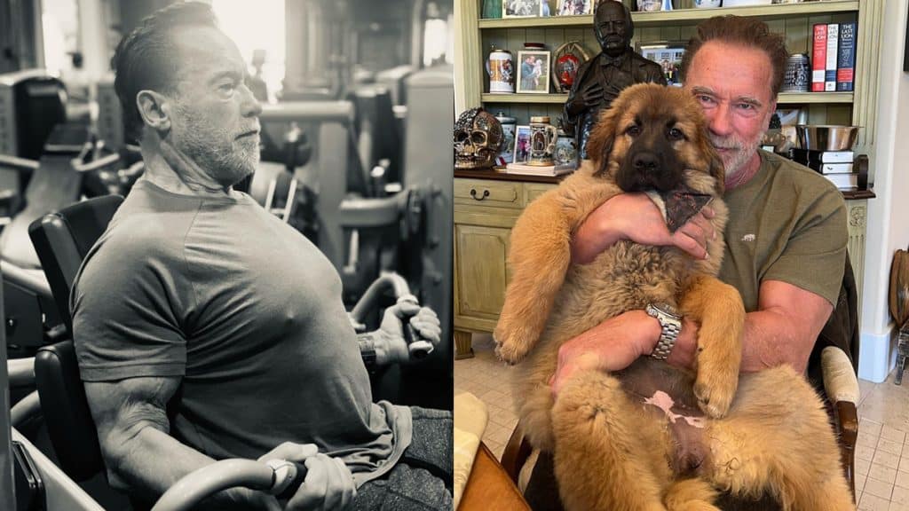 Arnold Schwarzenegger Recommends Wave Training