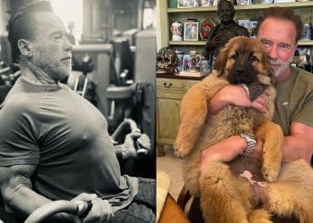 Arnold Schwarzenegger Recommends Wave Training