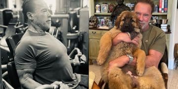 Arnold Schwarzenegger Recommends Wave Training