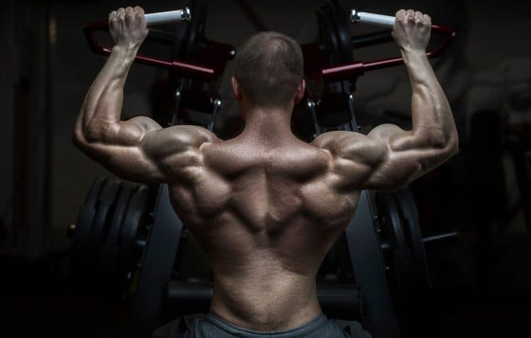 Bodybuilder Pumping Up Back Muscles