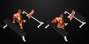 Weighted Bench Dip Guide