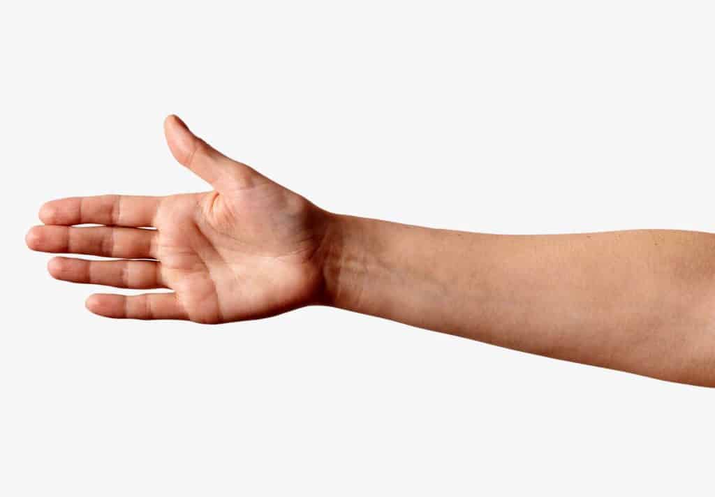 Average Wrist Size and Circumference for Males and Females Fitness Volt