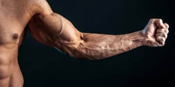 Average Forearm Size