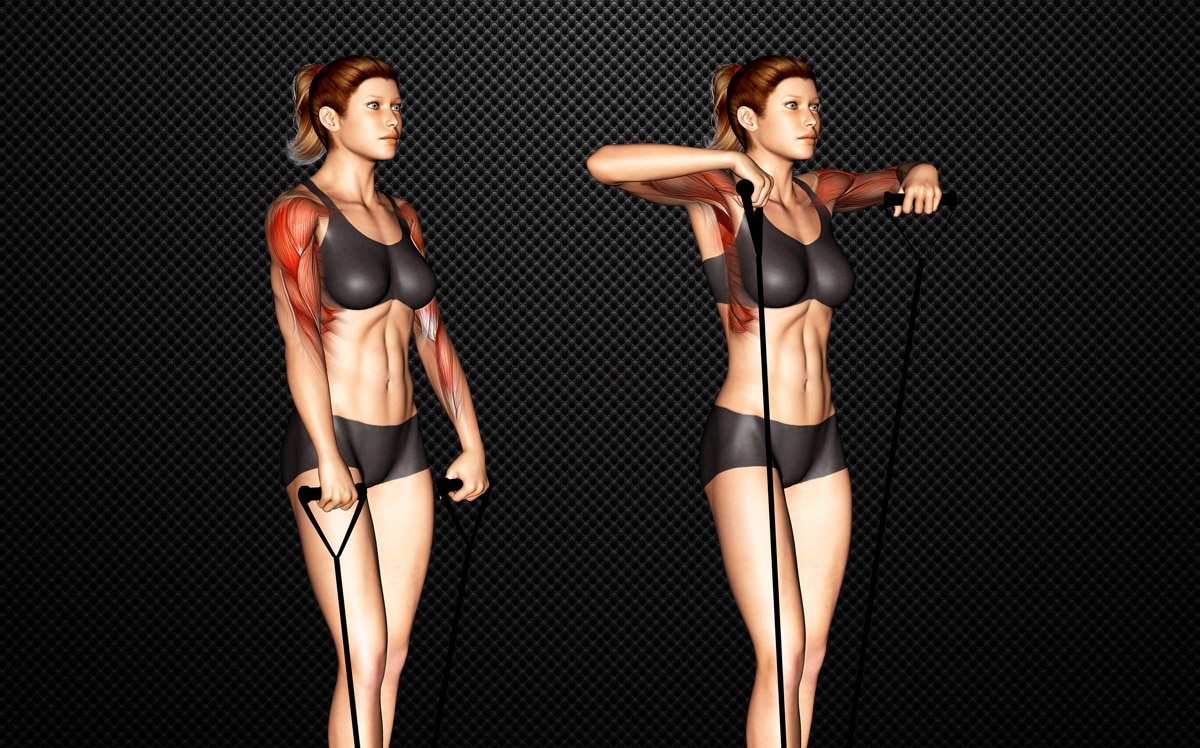 Upright Row Standards for Men and Women (kg) - Strength Level