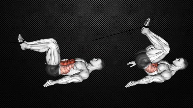 Cable Reverse Crunch Guide