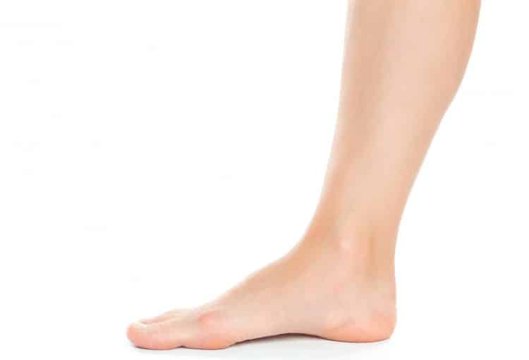 Female Ankle
