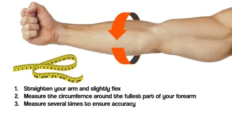 Forearm Circumference Correctly