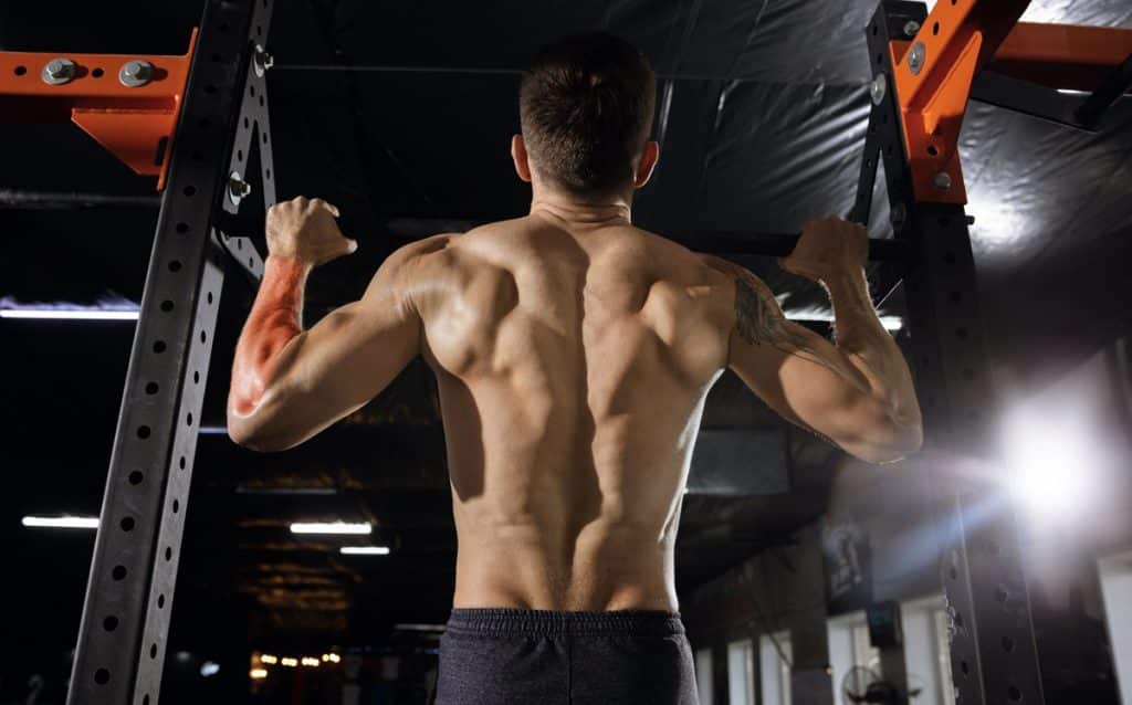 Forearm Pull Up Pain