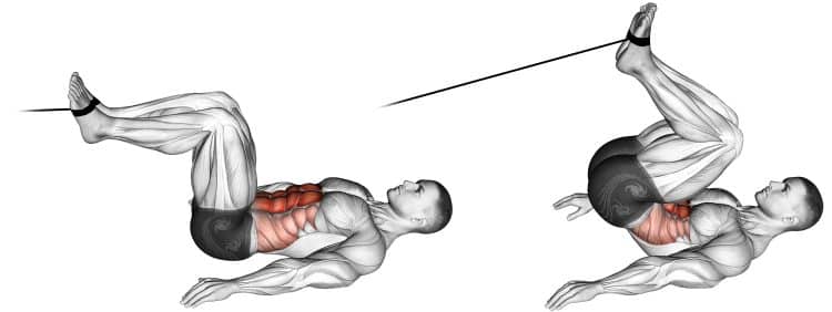 Muscles Worked Cable Reverse Crunch