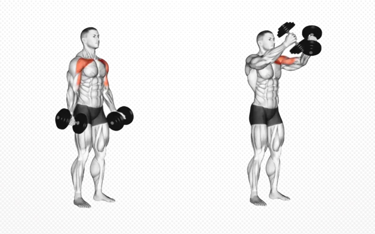 standing chest exercises with dumbbells