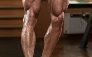 Tibialis Raise Guide